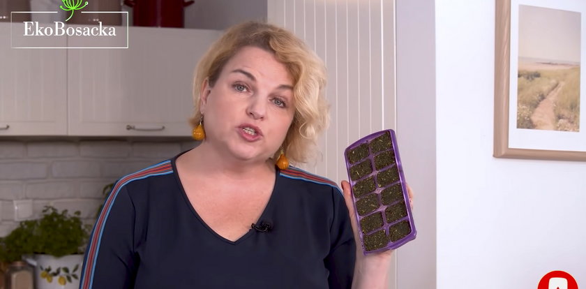 Katarzyna Bosacka radzi, jak robić domowe kostki rosołowe. Takich nie kupisz w sklepie
