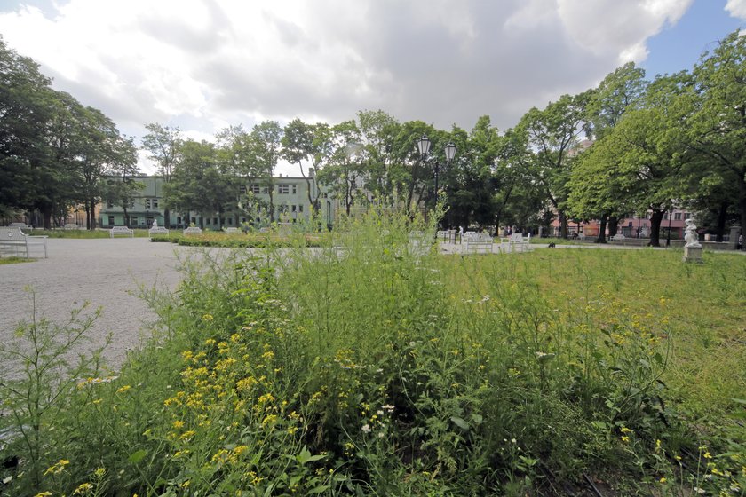 Park Sienkiewicza w Łodzi po remoncie do naprawy