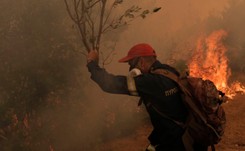 Pożary na greckiej wyspie Eubea. Ewakuowano ponad dwa tysiące osób