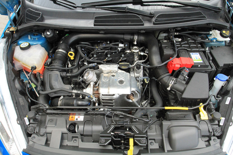 Ford Fiesta 1.0 Ecoboost: maluch z mocnym sercem