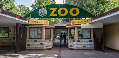 Szokujący wpis na profilu poznańskiego ZOO. Kto za tym stoi?