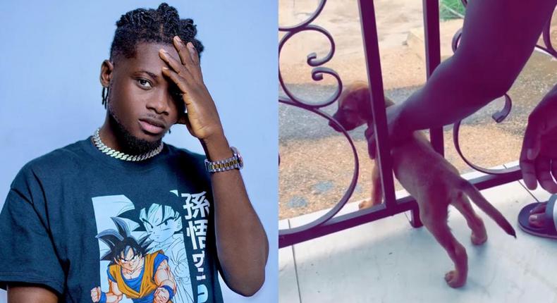 Kuami Eugene drops tribute song for his late dog