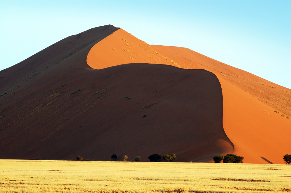 Dead Vlei