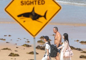 BBC | Foto: REUTERS/Jeremy Piper