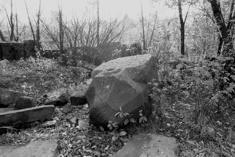 Cmentarz choleryczny