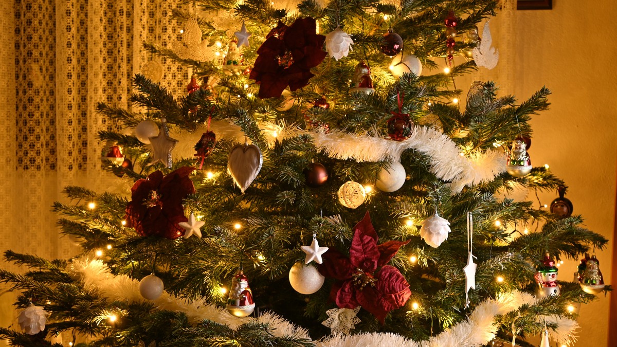 Požar u kome su stradale dve bebe izazvale svećice na jelci: Na ovo obratite pažnju