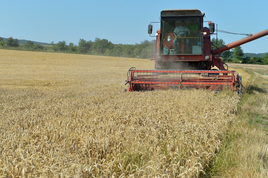 Tegoroczne zbiory zbóż jarych mogą być o ok. 25 proc. niższe niż w 2017 r. - prognozuje Krajowa Federacja Producentów Zbóż