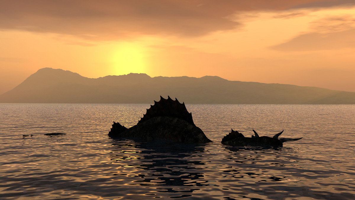 Naukowcy: Potwór z Loch Ness może być wielkim węgorzem