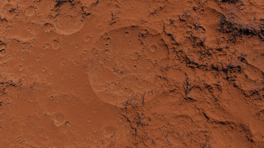NASA odkryła kości Marsjan?