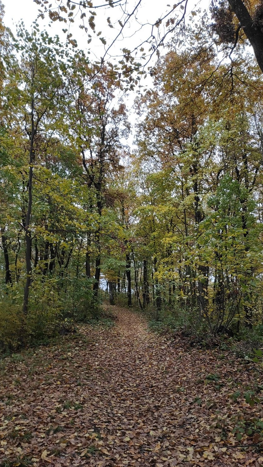 PD Železničar šetnje