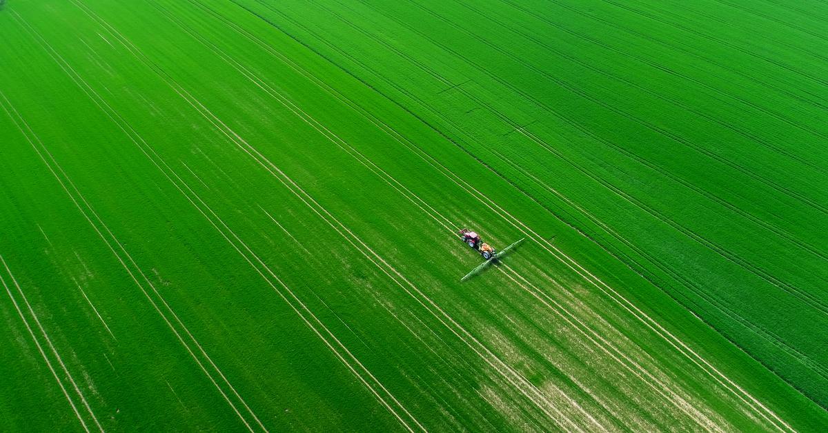  Zakaz GMO w paszach wejdzie w życie 1 stycznia 2030 roku?