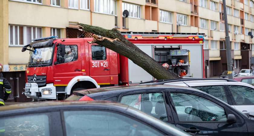 Szalejąca wichura w Szczecinie i w okolicach