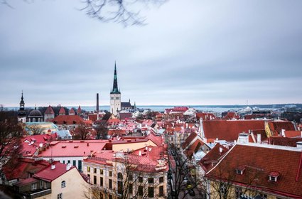 Bałtycki kraj ofiarą największego cyberataku w swojej historii