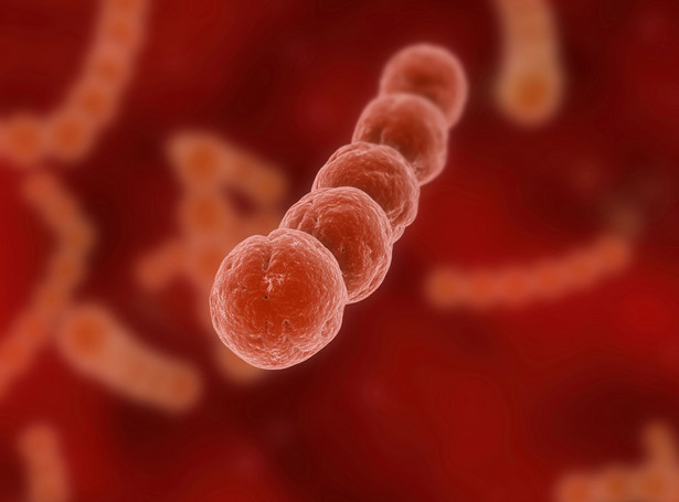 Przez tę bakterię choruje i umiera najwięcej dzieci na świecie