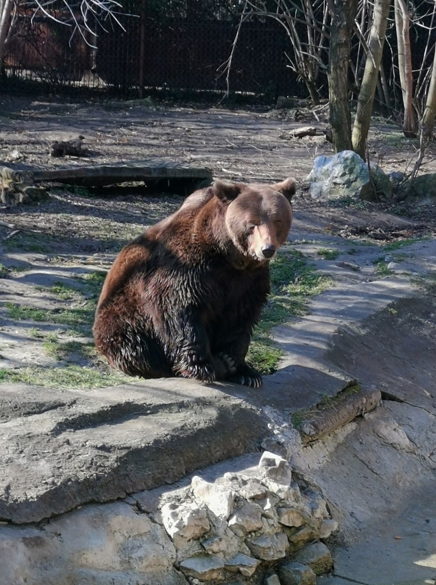 Medeni danas uživa na suncu