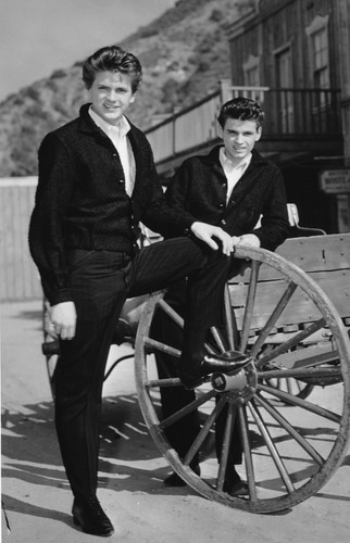 The Everly Brothers w 1960 roku