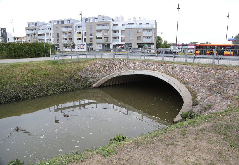 Straż Miejska szuka trucicieli potoku