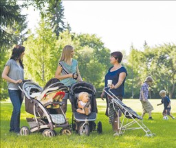 Bijemy rekordy w depopulacji. Co jest powodem spadku dzietności?