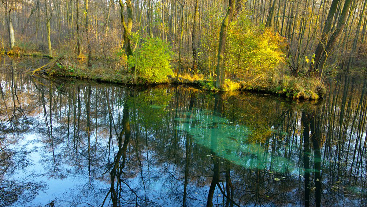 7 nowych cudów Polski 2013