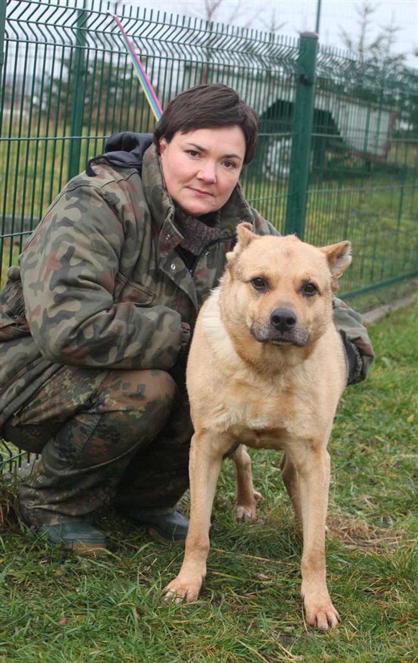 Pan obciął mu uszy!