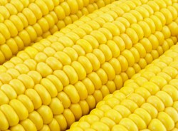 Nie lubisz popcornu? Możesz przez to sporo zaoszczędzić