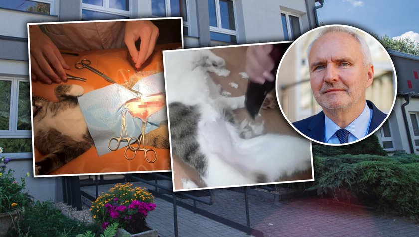controversial classes at school. Castration under the magnifier of investigators