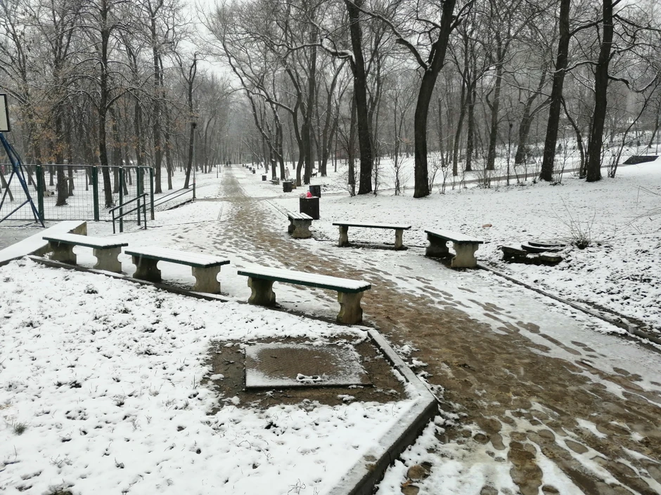 Sneg u parku na Banovom brdu