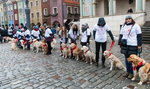 WOŚP w Poznaniu. Pomagamy już 25 lat!