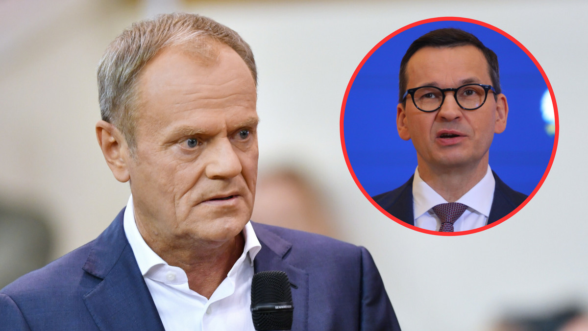 Tusk o Morawieckim: "Ale z Ciebie bambik". Wyjaśniamy, co to znaczy