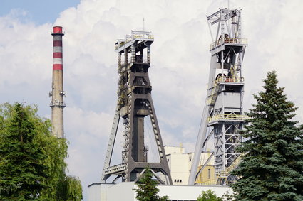Najlepsza polska kopalnia trafi bezpośrednio w państwowe ręce. "To szansa na lepsze ceny"