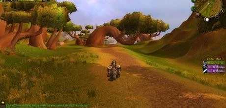 Screen z gry "World of Warcraft: Burning Crusade".