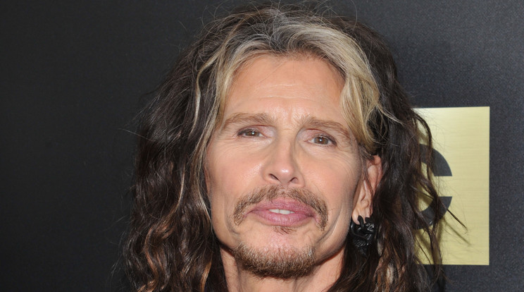 Steven Tyler lebetegedett /Fotó: Northfoto