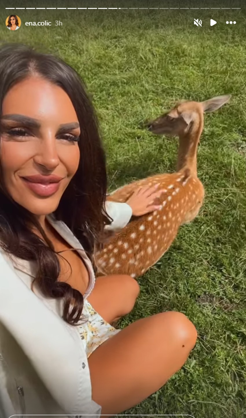 Ena Čolić