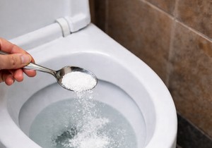 Uklanjanje kamenca iz WC šolje