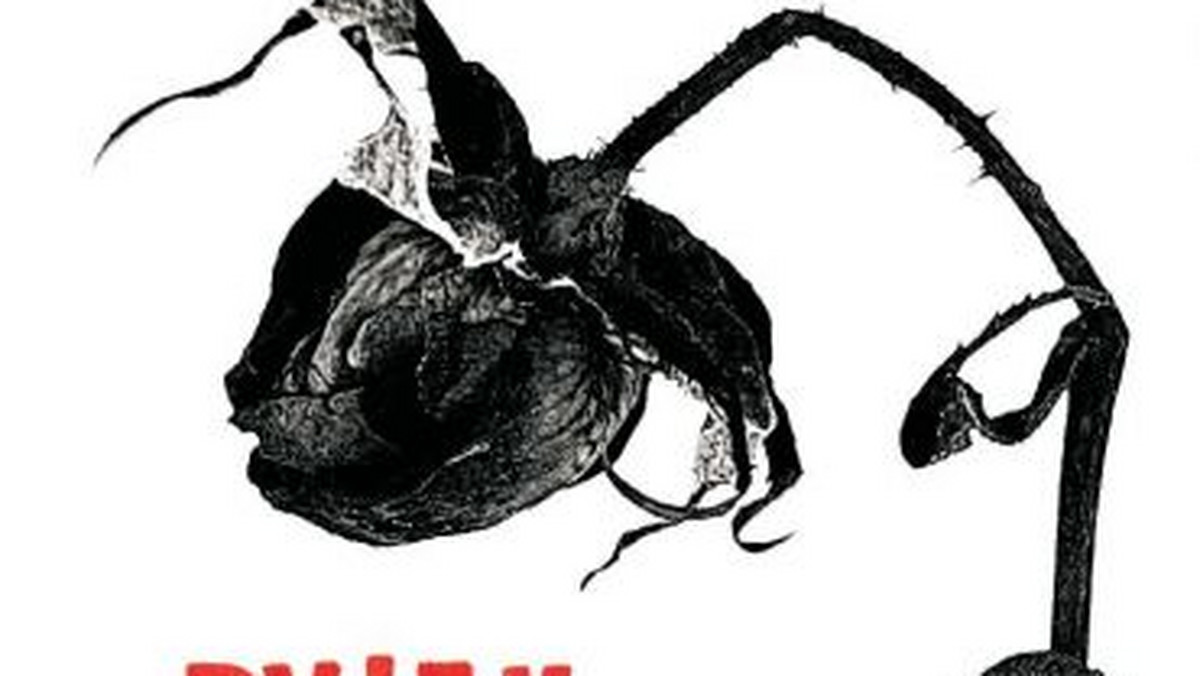 Już 12 kwietnia album ukaże się najnowszy album Marka Dyjaka zatytułowany "Kobiety"