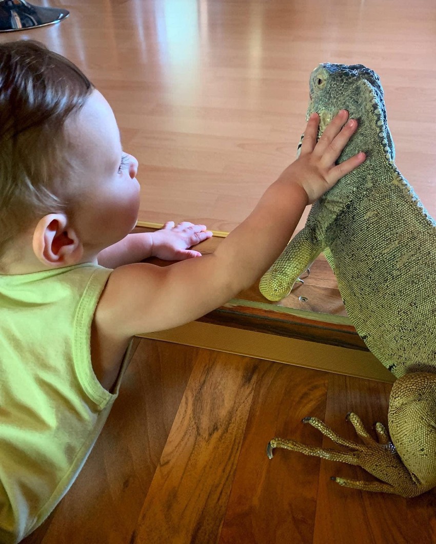 Mateo i Enzo najbolji prijatelji