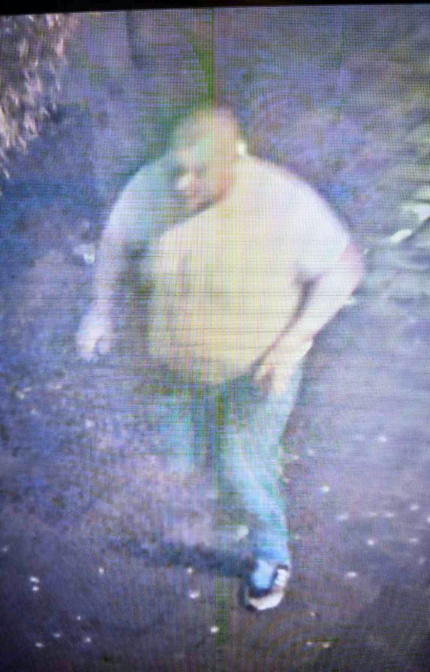 Osumnjičeni za napad na mladiće u Novom Sadu