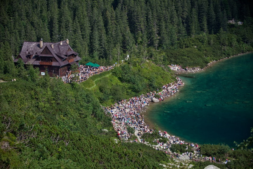 Szlak na Morskie Oko zamknięty. Wszystko przez ptaki!