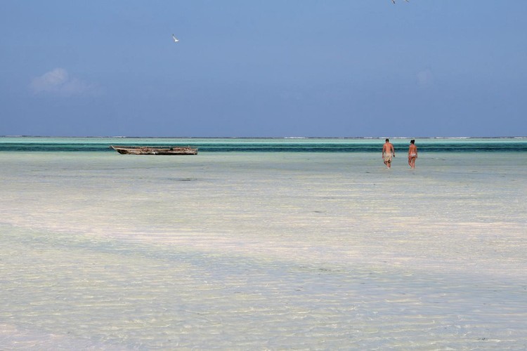 Plaża na Zanzibarze w Tanzanii Fot.flickr/Marc Veraart