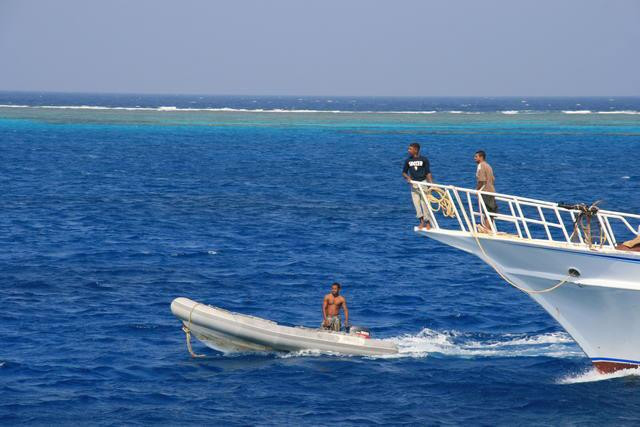 Galeria Egipt - Marsa Alam, obrazek 55