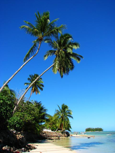 Galeria Polinezja Francuska - Bora-Bora i Maupiti, obrazek 17