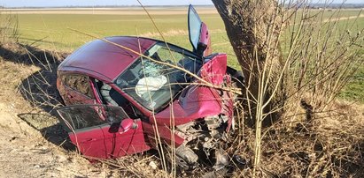 Pies spowodował poważny wypadek. Tego się już chyba nie wyklepie