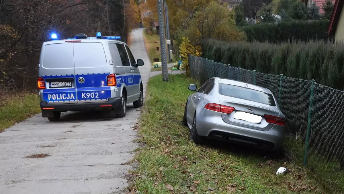 Jaguar na płocie. Policjanci z Podkarpacia zatrzymali poszukiwanego 31-latka.