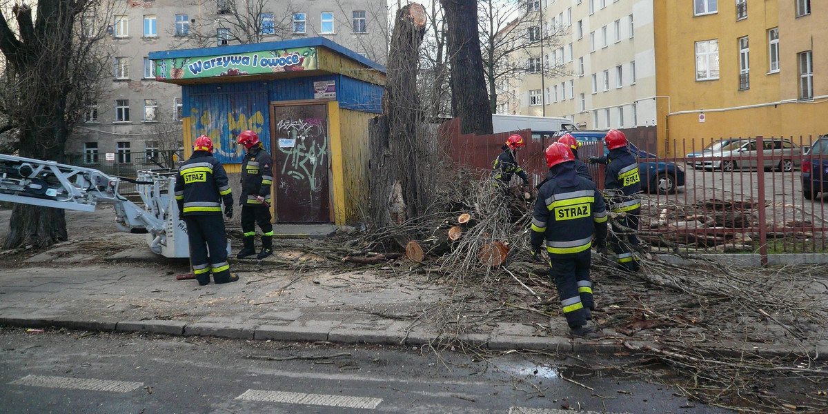 Wichura w Łodzi. Konar spadł na auto