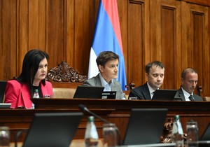 Ana Brnabić, Skupština Srbije