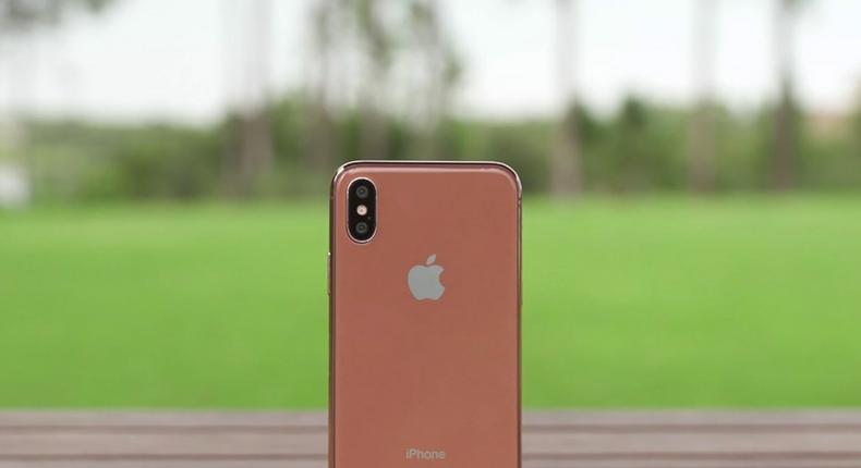 YouTuber Danny Winget's mockup iPhone 8 in copper gold coloration.