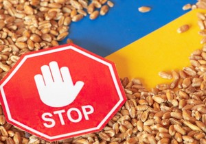 Pšenica zarobljena u Ukrajini