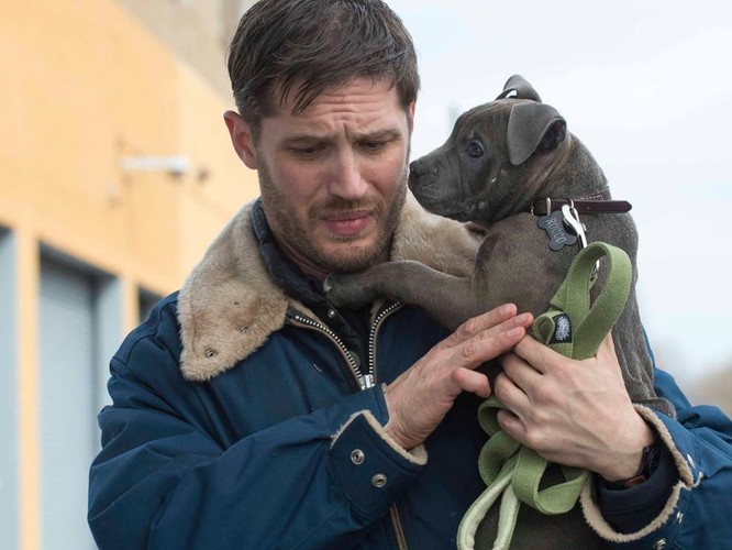 Tom Hardy w filmie 'Brudny szmal'