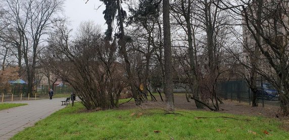 Park linearny w Łodzi. Miasto zaprasza mieszkańców na konsultacje! 