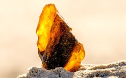 Na ból reumatyczny i nie tylko: BURSZTYN. Jak korzystać z jego mocy?